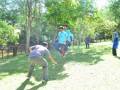 Tn DSC 1994